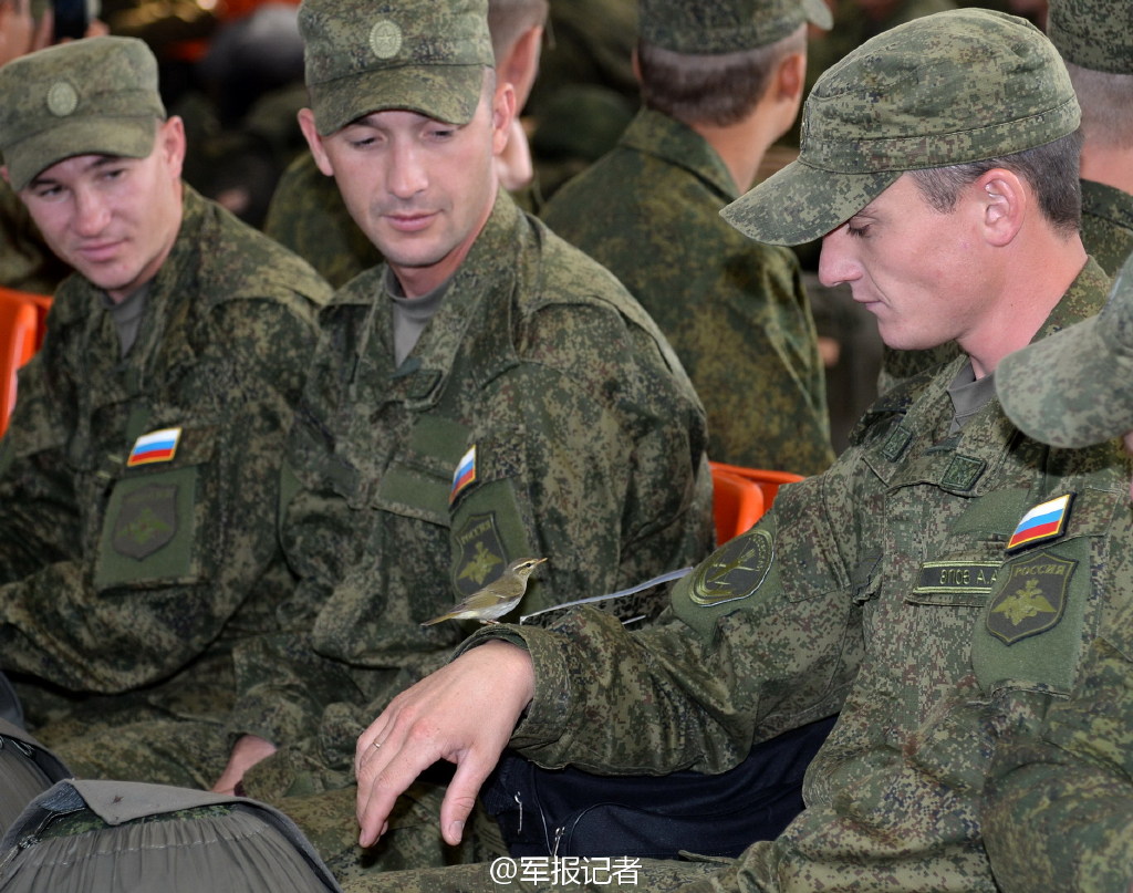 ��ͼ�������ݲ��ӵֻ� �з����ɹ��延ӭ��ʽӭ�ӡ�4��