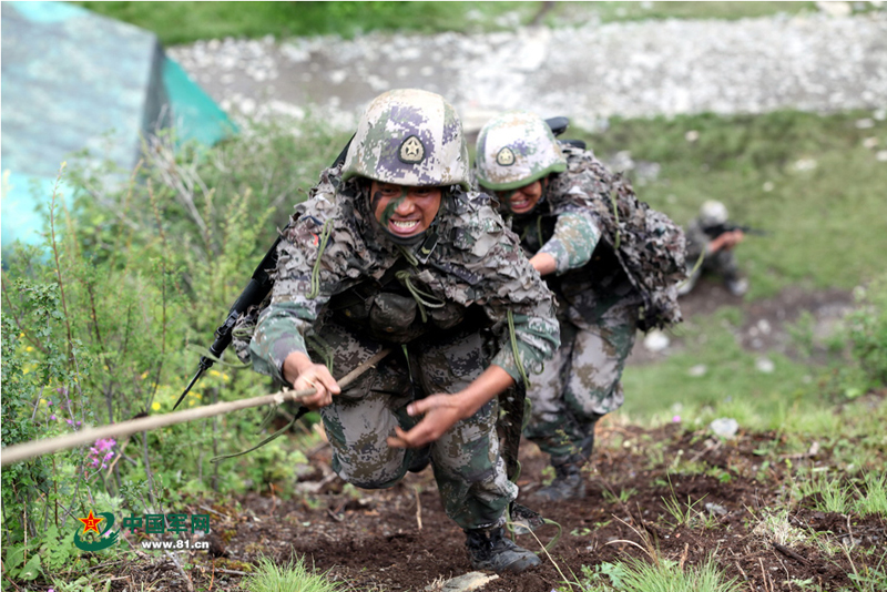 ���壺פ������������ɽϿ����ս 95ʽ��ǹ�Ҵ̵���3��