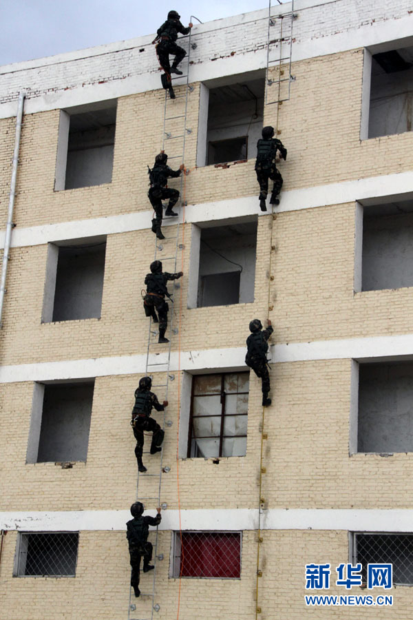 ���з�����������Ŀ�꽨���