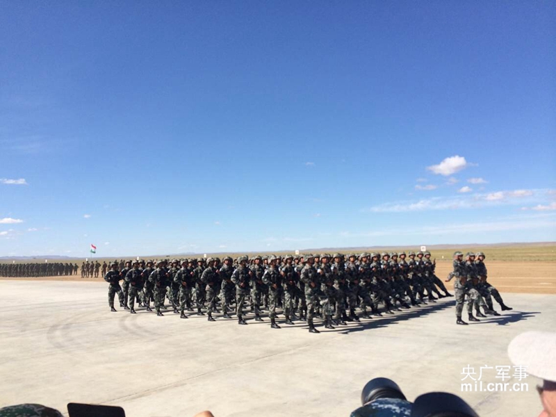 ���Ų�ͬ�Բʵ�5�����ݹٱ����������ӣ��������룬����׳�ľ����������ν������ϵ��ݲ����ġ� ��������