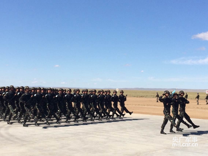 ���Ų�ͬ�Բʵ�5�����ݹٱ����������ӣ��������룬����׳�ľ����������ν������ϵ��ݲ����ġ� ��������3