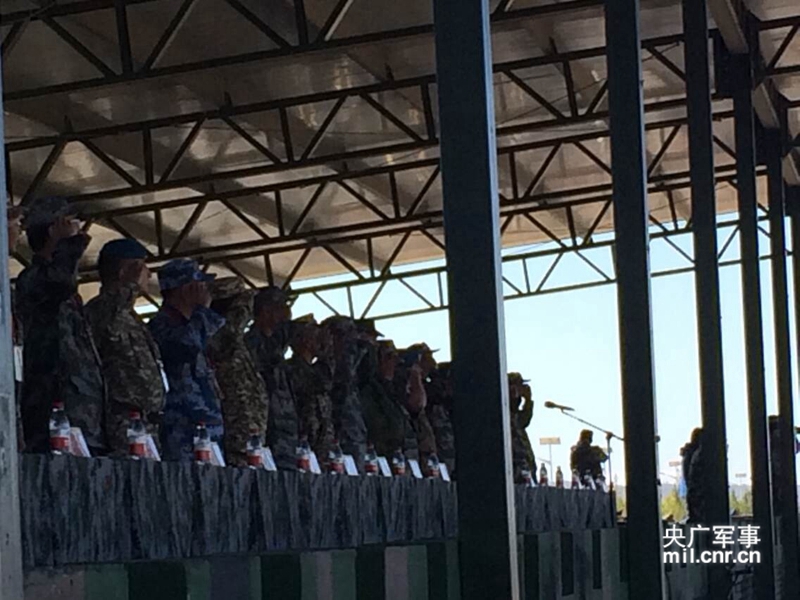 ���Ų�ͬ�Բʵ�5�����ݹٱ����������ӣ��������룬����׳�ľ����������ν������ϵ��ݲ����ġ���������