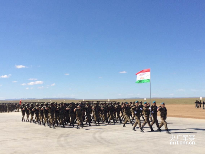 ���Ų�ͬ�Բʵ�5�����ݹٱ����������ӣ��������룬����׳�ľ����������ν������ϵ��ݲ����ġ���������6