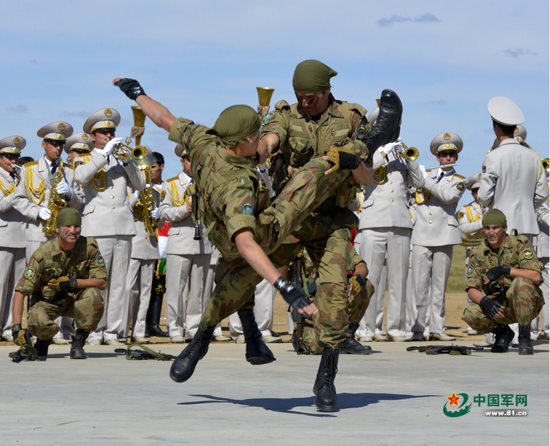 ���壺������˹̹����չʾ�����Ļ�����ɫ���±��ݡ�2��