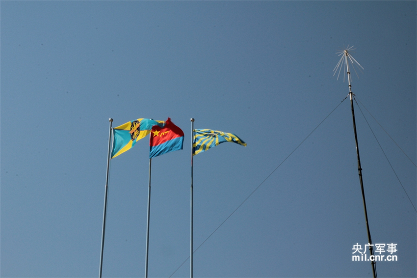 �С������������վ����� ���� ��