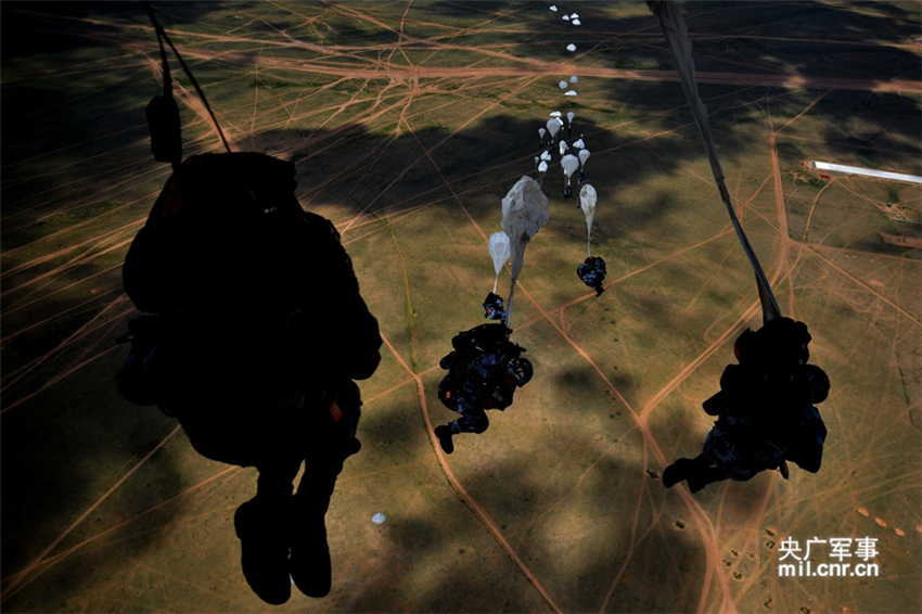 Ծ������