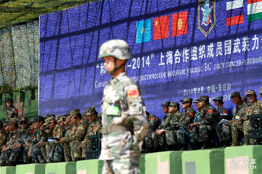 ʵ������ָ�������ⷽ������Ա�����ϰ���ݽ��н��� л¶Ө��