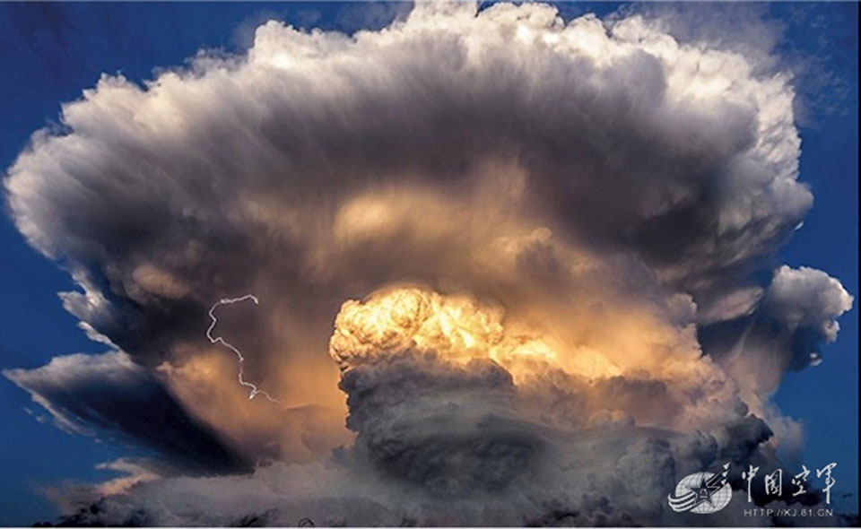 �վ����ֺ���Ģ����