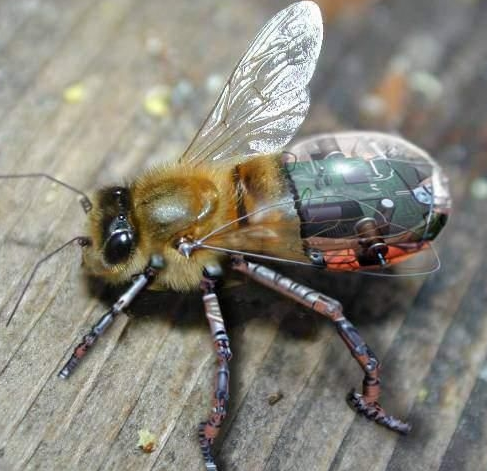 ը��̽���۷�����СҲ����רҵ�ı�ը��̽��������ͨ�۷��������Ȯ������൱������ѵ��֮����۷䣬���Լ�ⱬը��ͻ�ѧ����