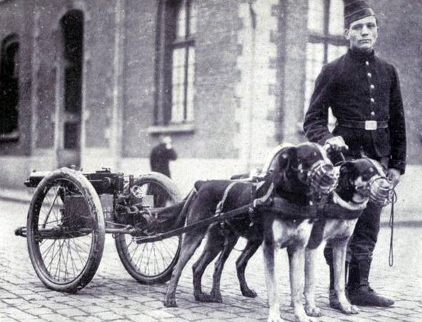 ��һսʱ�ڣ���ֹ����������������ǹ֧������װ������ȮҲ������ǰ������ǹ֧