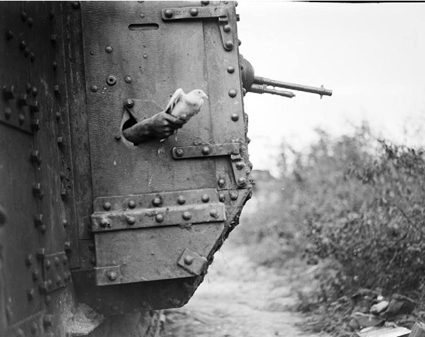 1918��8�£�һִֻ��������Ÿ��һ��Ӣ��̹�˵Ŀڶ��ͷų���