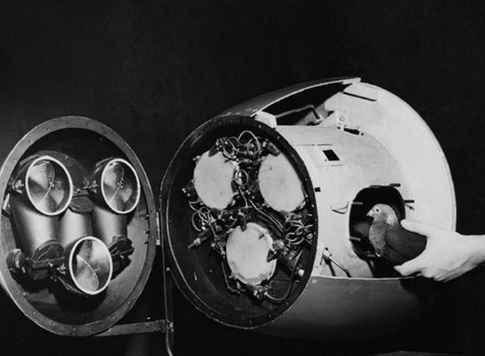 �ڵ�����׼ϵͳ����֮ǰ�����ӱ����ڵ����Ƶ����ڵ������䱸��׶�壬������ӣ���ѵ��������Ŀ���ȥ����ʱ��ȥ�ı�׶���ϵ�С���ڣ�����������