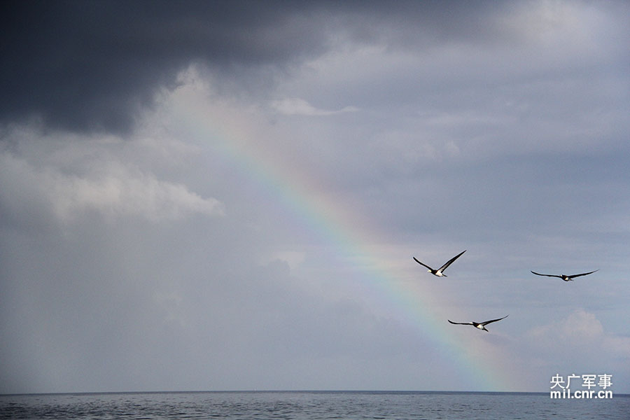 ���㵺����Ѳ��;�����ʺ��ɺ��� �ζ˶���