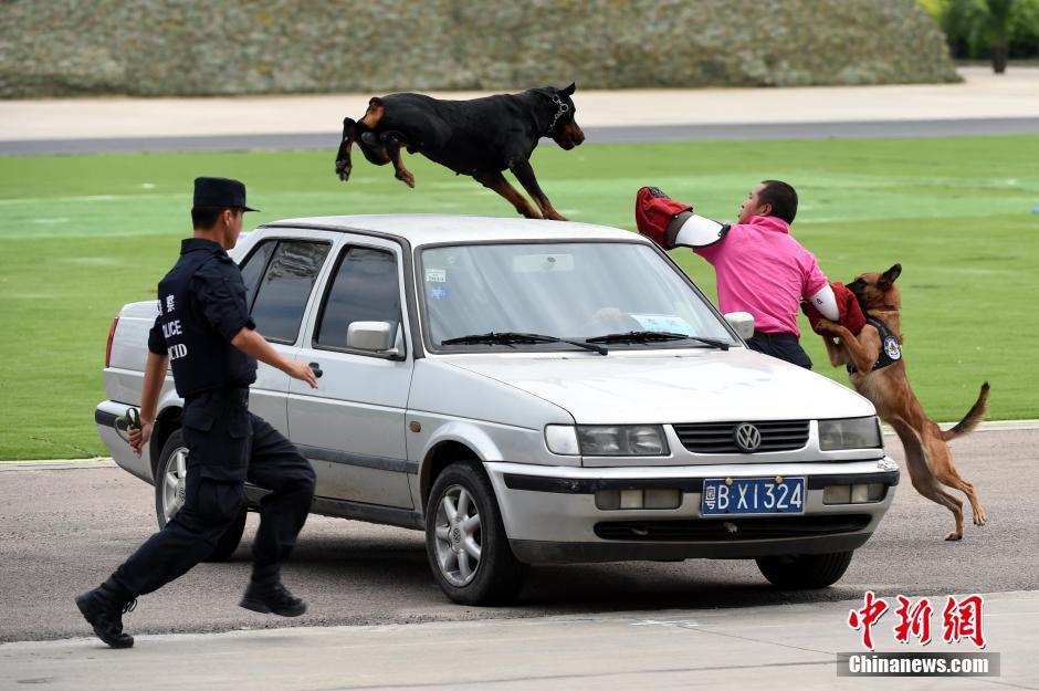 ���壺�侯�������� ���ݷ��ˡ��ɳ���3��