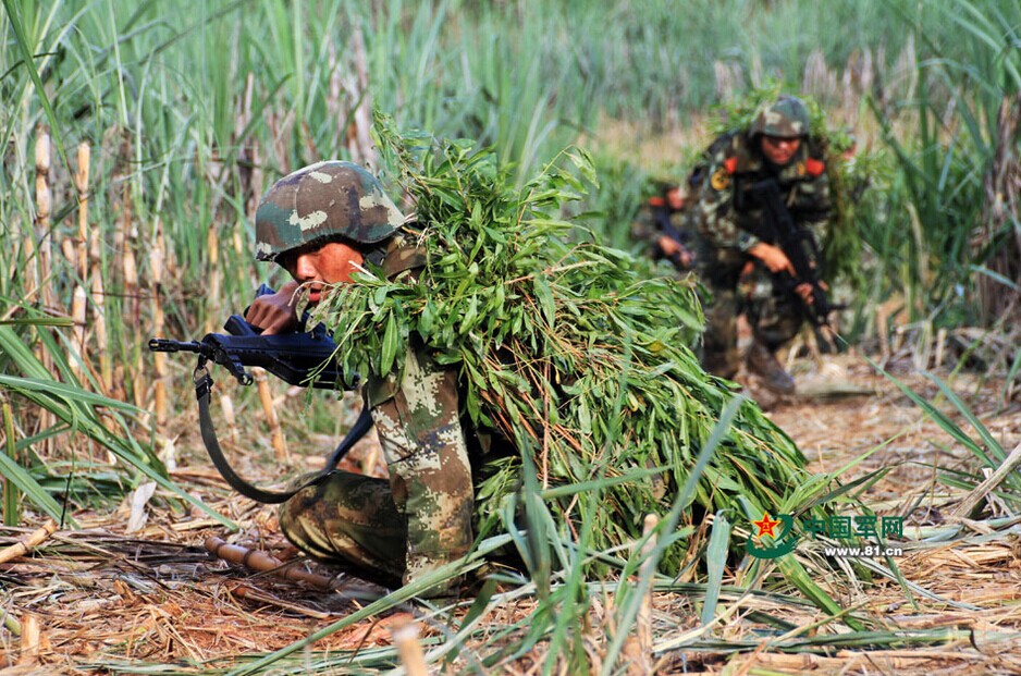 �ٱ����õ�òѸ��ͨ�����С�����������