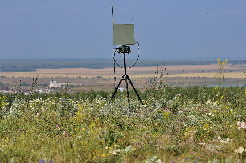 ���壺���������������˻���5��