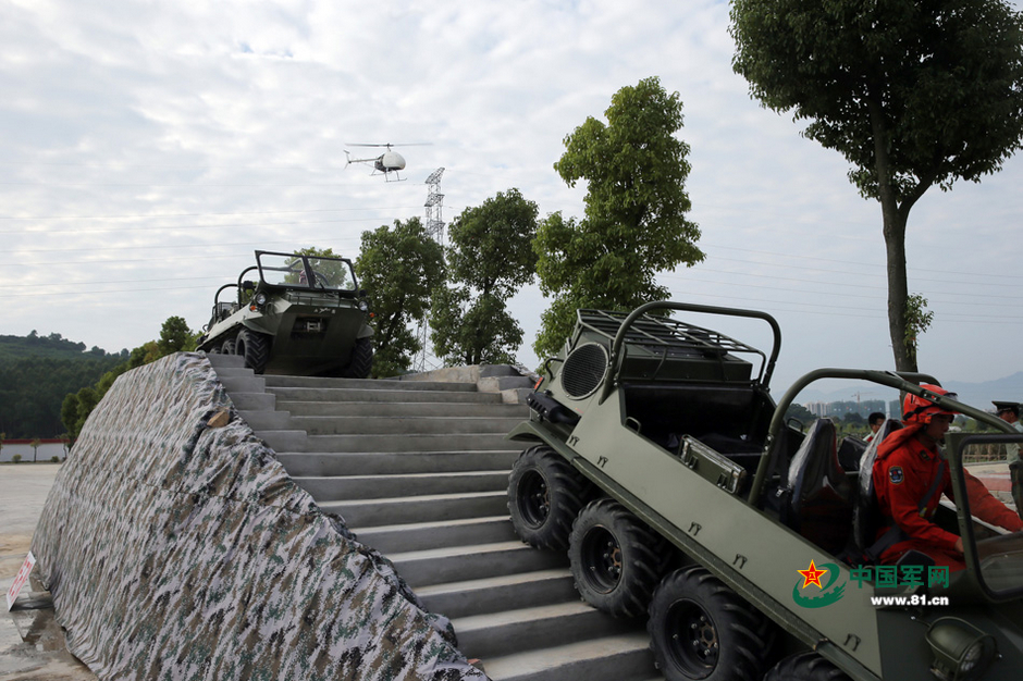 ���壺�侯ɭ�ֲ���չʾ��װ�� ȫ���γ���ɽ��ˮ��3��