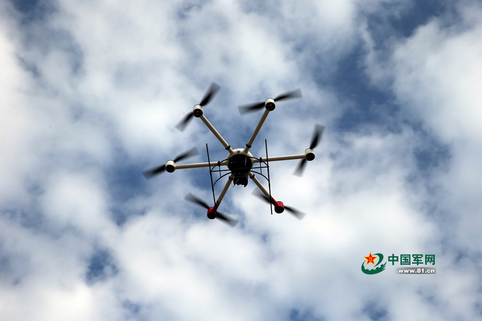 ���壺�侯ɭ�ֲ���չʾ��װ�� ȫ���γ���ɽ��ˮ��5��