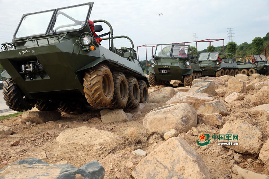 ���壺�侯ɭ�ֲ���չʾ��װ�� ȫ���γ���ɽ��ˮ��2��