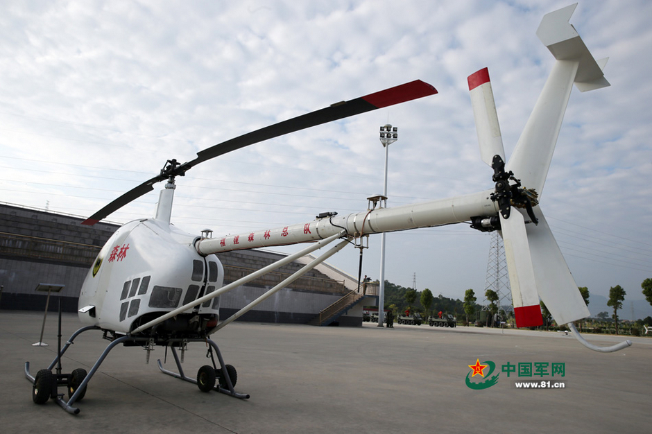 ���壺�侯ɭ�ֲ���չʾ��װ�� ȫ���γ���ɽ��ˮ��6��