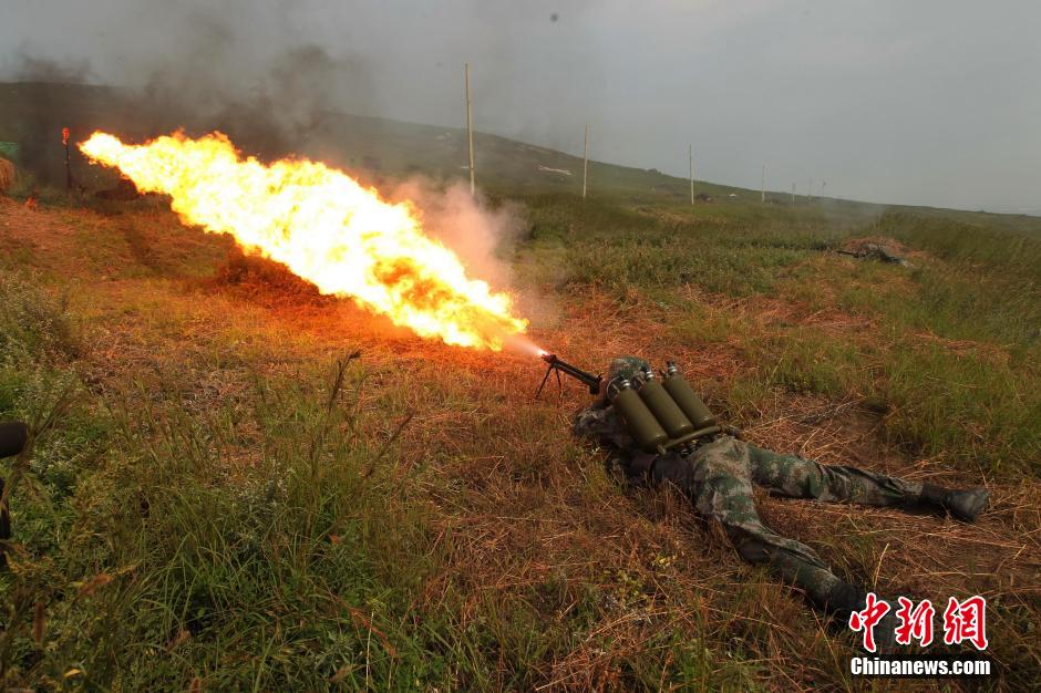 ���壺��ž���½��ս ɡ�������������8��