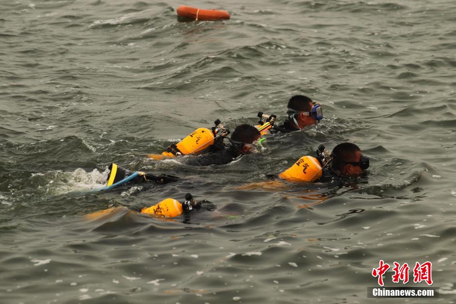 ���壺��ž���½��ս ɡ�������������5��