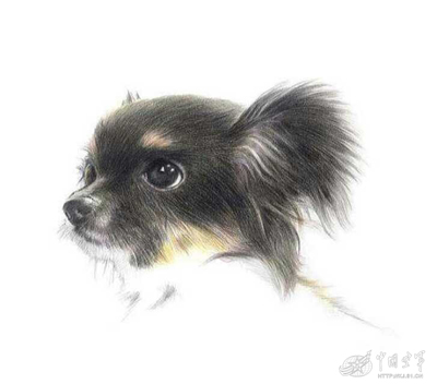 ��ΰ�����Ĳ�Ǧ������Ȯ