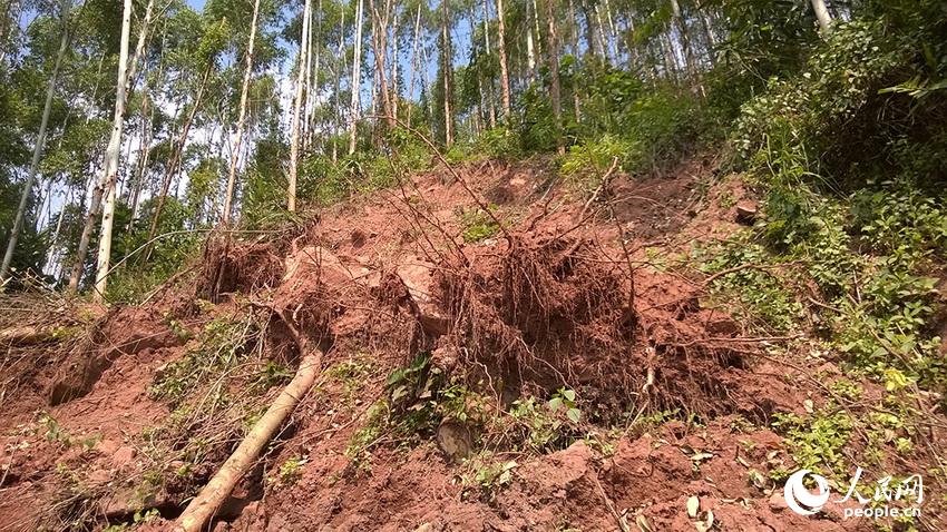 һ·�ϣ��洦�ɼ��������µĺۼ���