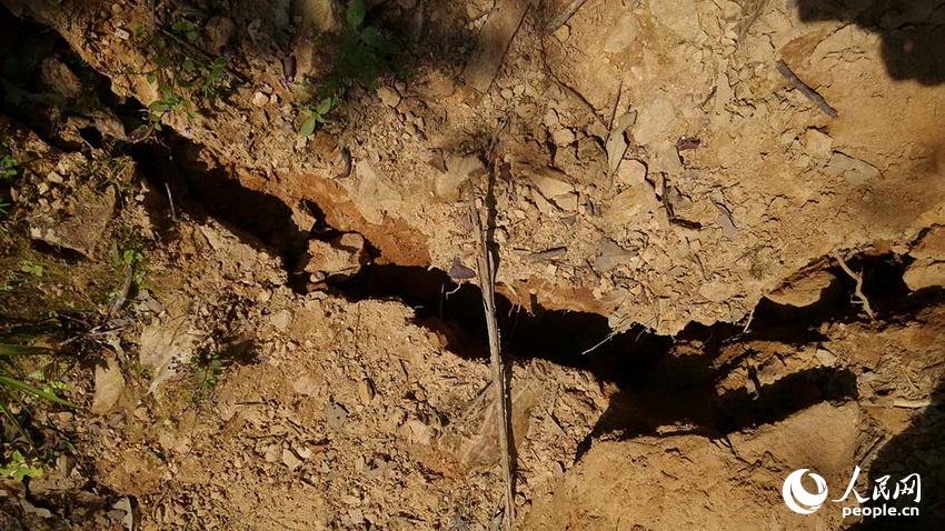 �����Ϸ��ĵ����н�5���׿�������ס�