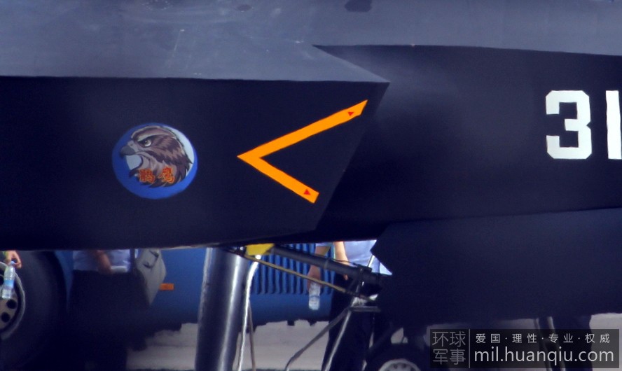 ��-31����ӥ�����ڽ��е������ ����Ӱ���żӾ���