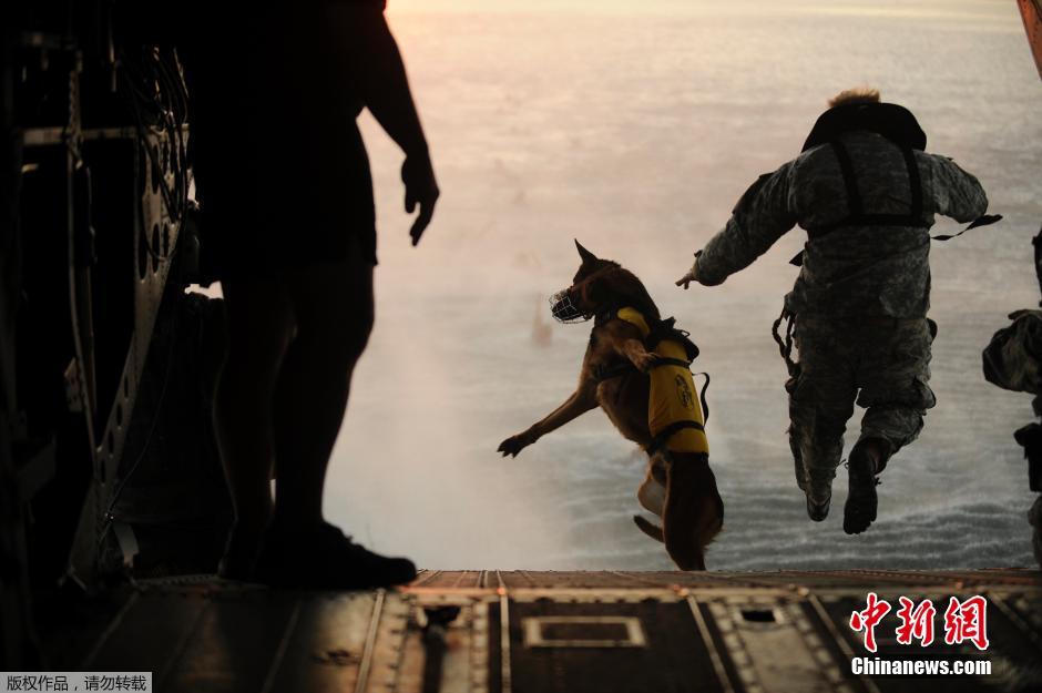 ���壺������������ֳ�ͼ�ع⡾4��