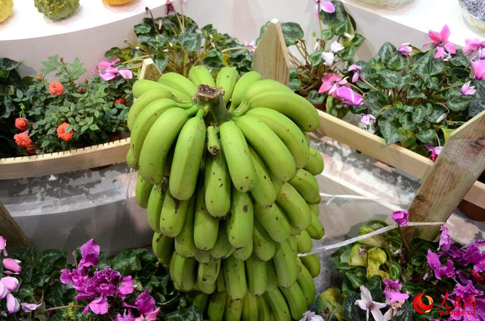 ��չ�ֳ�չ���ĺ����߲ˡ�������