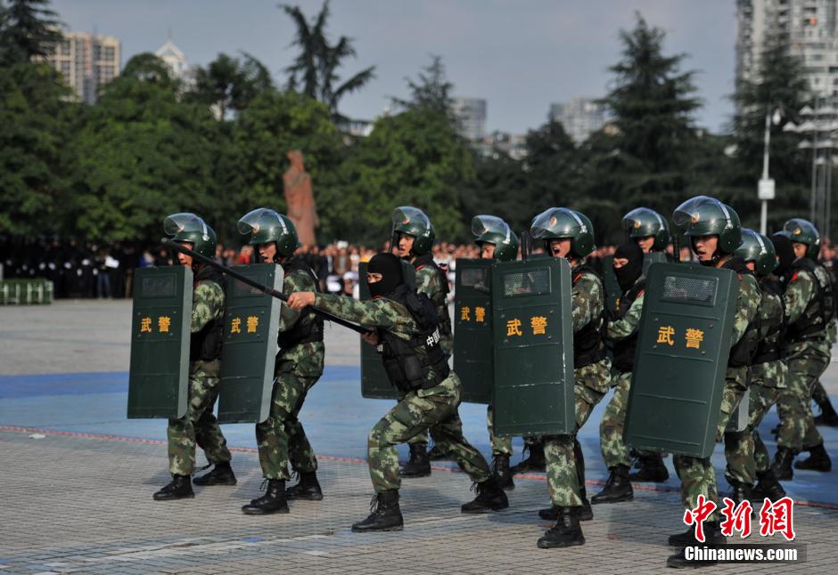 ���壺�Ĵ���ɽ���С����ַ������ۺ�������8��