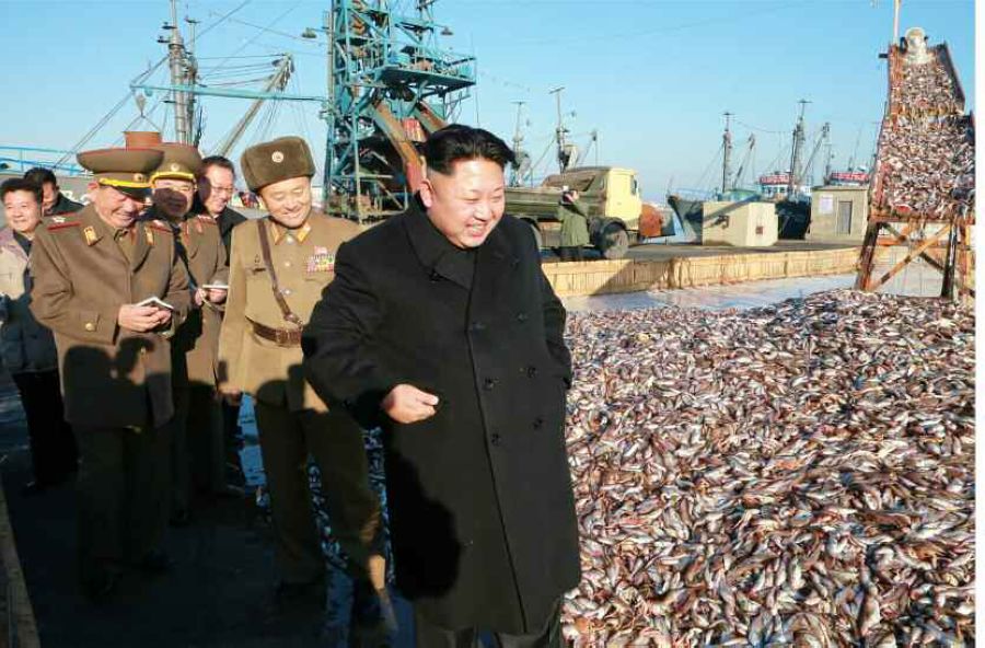 ���壺�������Ӳ쳯�������ˮ����ҵ�� ���ý��꾲ͬ�С�2��