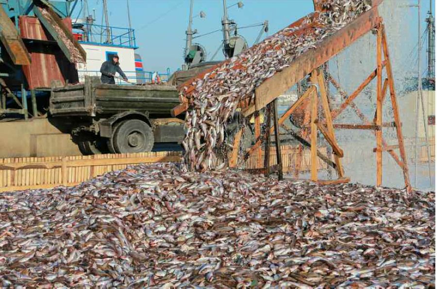 ���壺�������Ӳ쳯�������ˮ����ҵ�� ���ý��꾲ͬ�С�3��