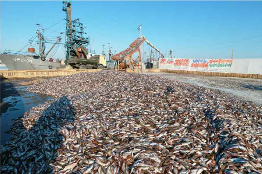 ���壺�������Ӳ쳯�������ˮ����ҵ�� ���ý��꾲ͬ�С�4��