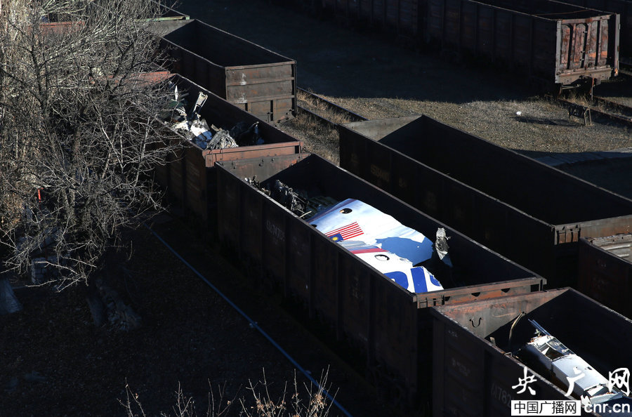 ���壺MH17�к���׹�����˳� ��Լ100�ֲ�Ƭ��8��