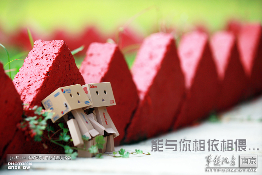 �������������ˡ���