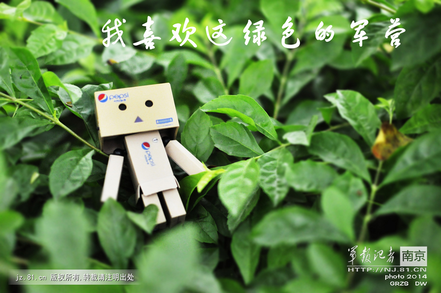 ��ϲ������ɫ�ľ�Ӫ