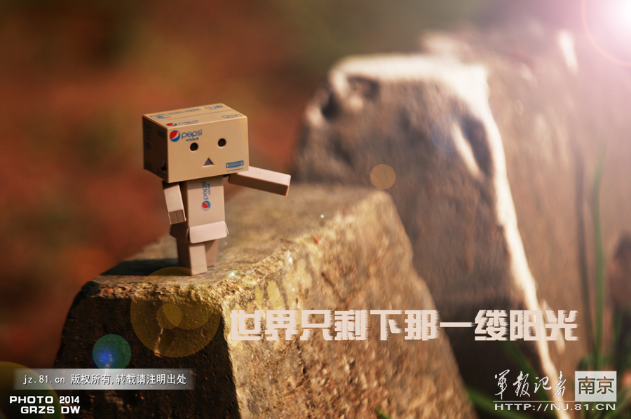 ����ֻʣ����һ������