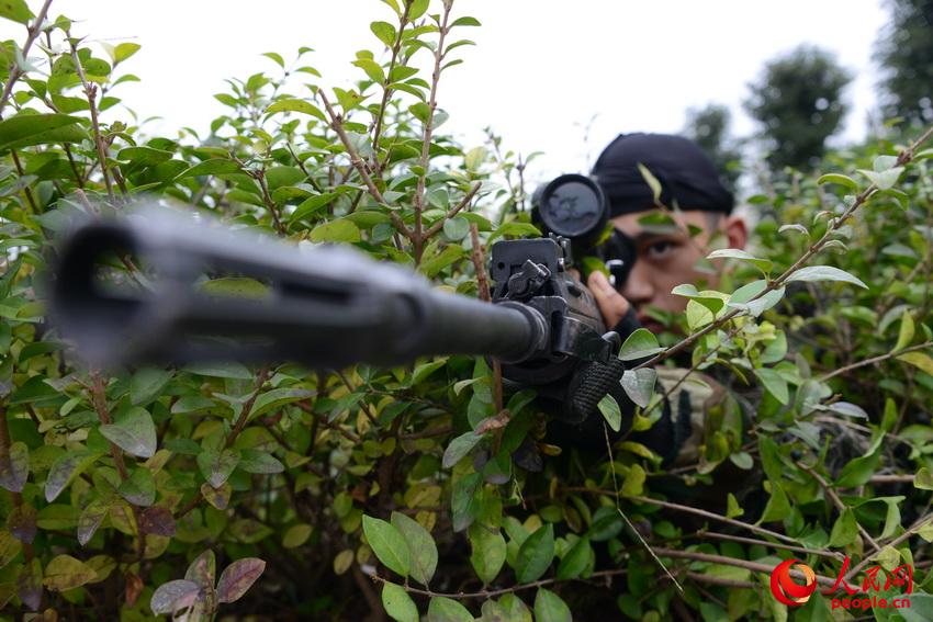 �Ż�����