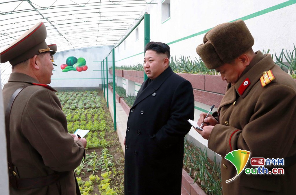 ���壺�������Ӳ��ڱ����� ����˾������ܺ�Ӱ��5��