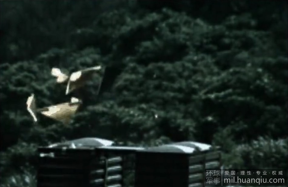 ��ͼ��̨�ع������Ƚ��������仭�� һ�����꼴��������7��