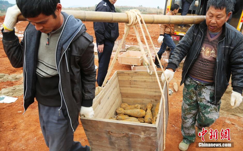 ���壺���Ϻ�����������ǧ��ö�վ���ը����ը����4��