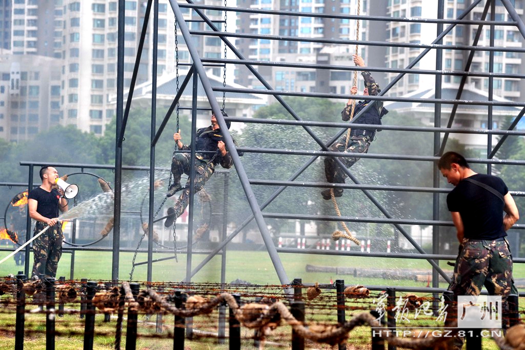 ͨ��������(Ҷ������)