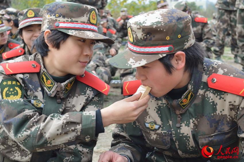 ����ѹ������