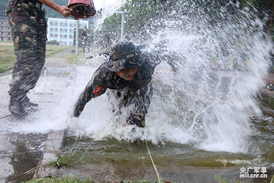 ��ѵ����ʵս����ʵ