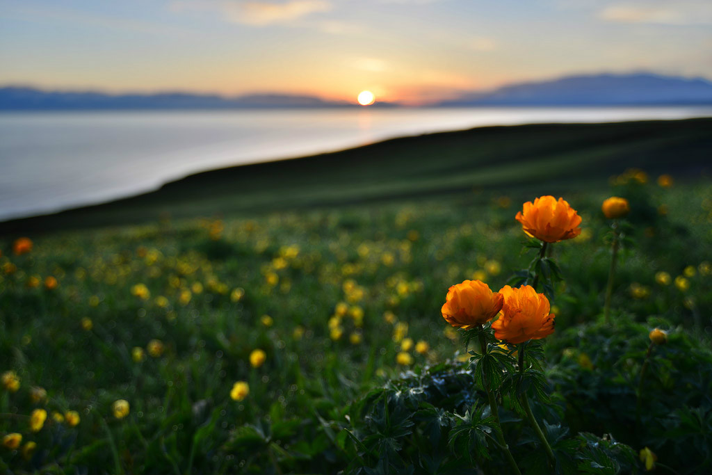 ��ᳪ����ĸ���