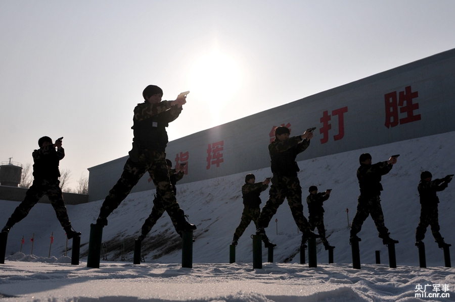 ������ǹ��ǹƽ��ѵ��