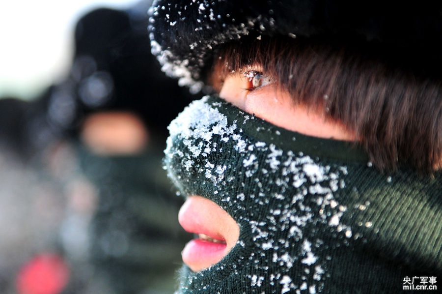 ��Ա�Ǻ����Ĺ����ڷ��������Ͻ��˪